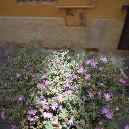 Casa San Michele - Monolocale Con Bagno E Cottura *